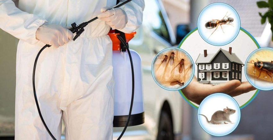 Bozova Böcek İlaçlama