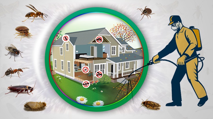 Bozova Böcek İlaçlama