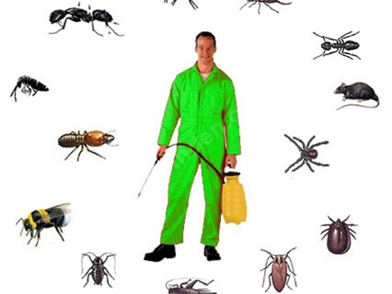 Bozova Böcek İlaçlama